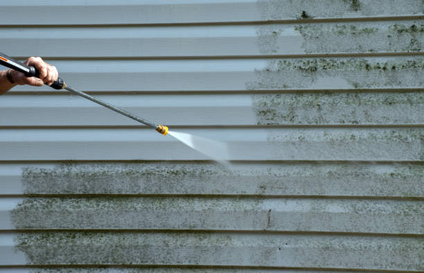 Best Pressure Washing Siding  in Madison, MN