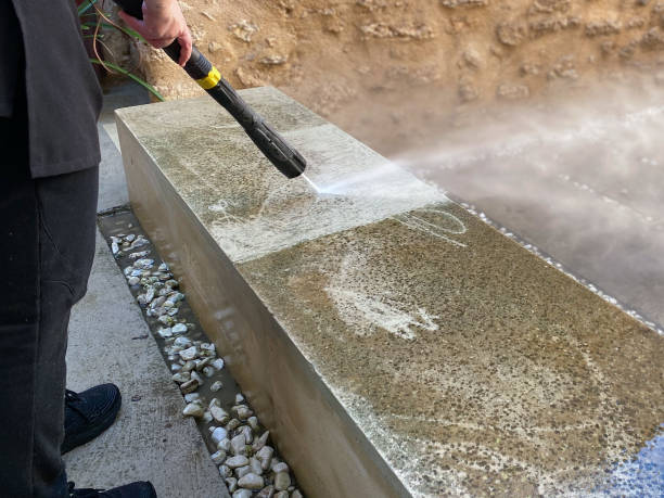 Best Roof Pressure Washing  in Madison, MN