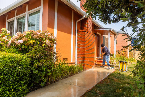 Best Sidewalk Pressure Washing  in Madison, MN