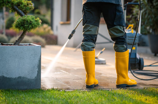 Best Power Washing Near Me  in Madison, MN